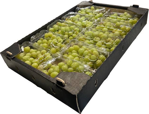 49c3d68a-ebde-4651-a2aa-4a56e4c9da44