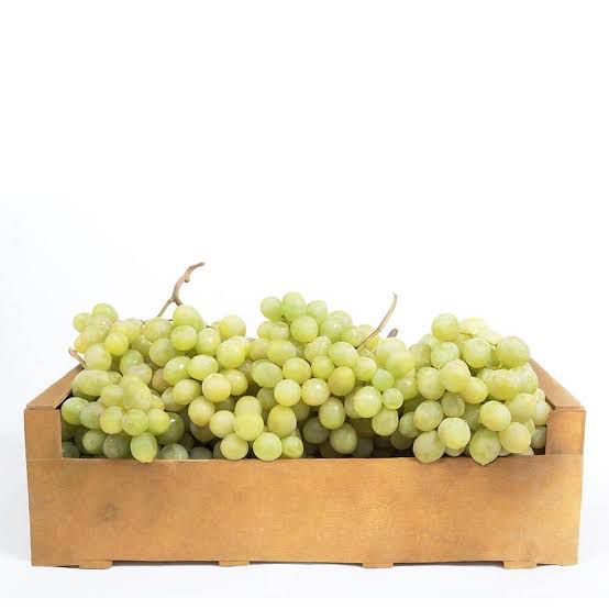 8d8fc8b3-84ec-4018-b448-a50a7c544739