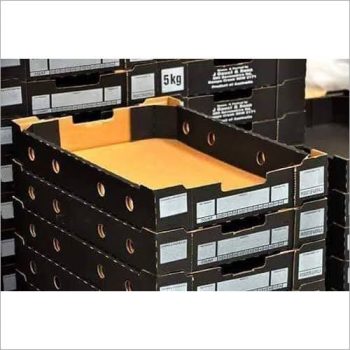 203218d7-abcb-45ae-8fd2-72b27cf7c8a4