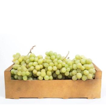 4c76ceb4-457c-46fc-960d-5ebff52b286b