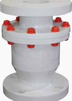 WhatsApp Image 2025-10-15 at 15.51.49