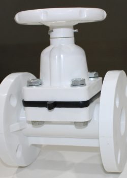 WhatsApp Image 2025-10-15 at 15.51.50