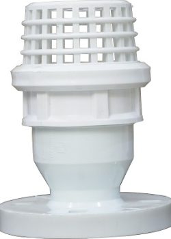 WhatsApp Image 2025-10-15 at 15.51.51