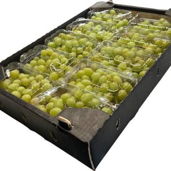 e03d7303-a63d-4836-ab34-814785e4988c