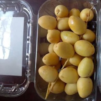 e81238fb-80f7-4032-93bd-f99ad69739e0